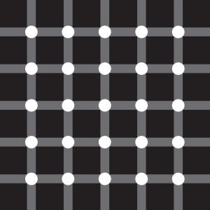 Optical illusion with black squares, grey grid, and white dots. The illusion makes it look like black dots are moving around inside the white dots.