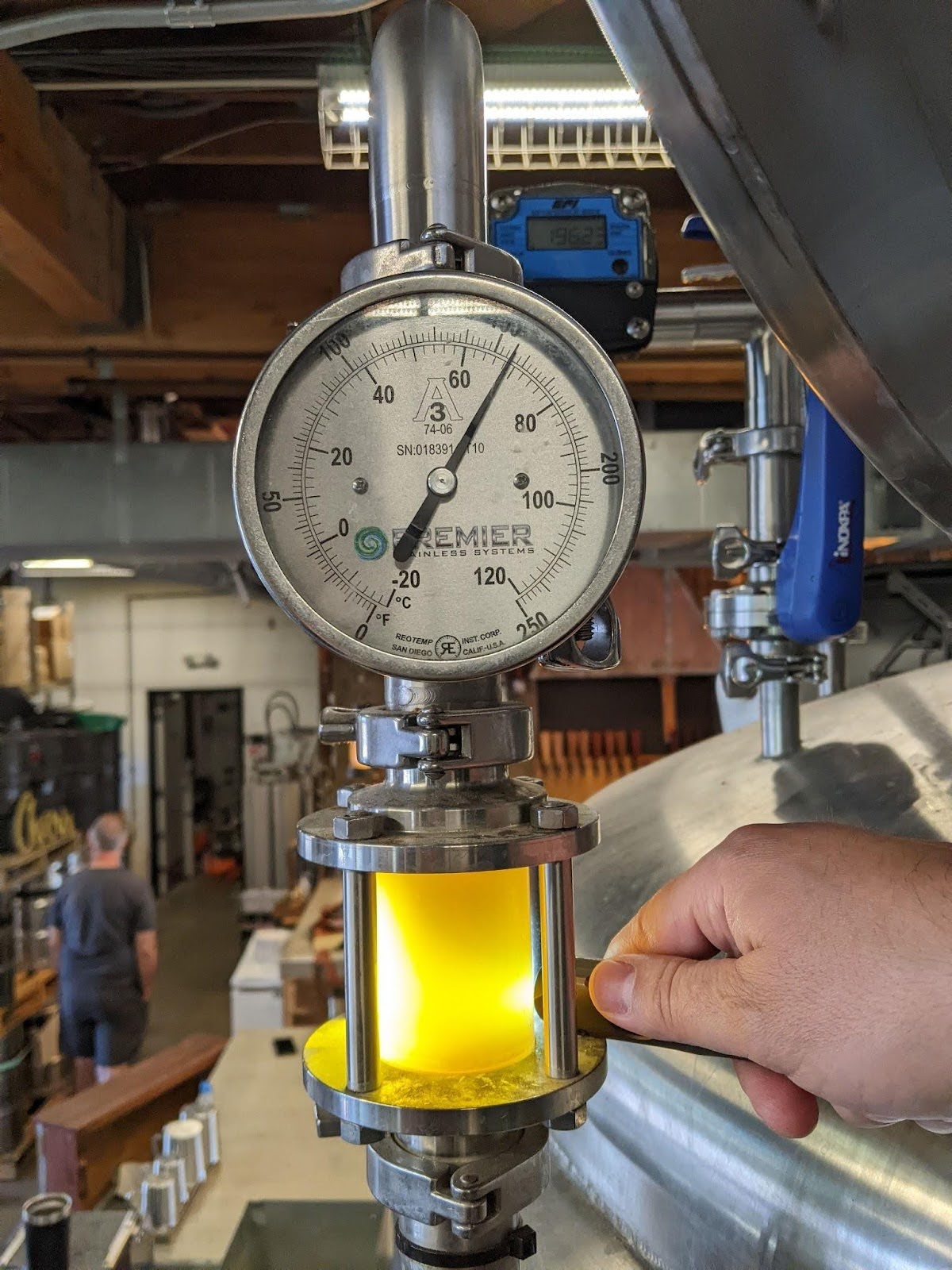 Checking the color and clarity of the wort.